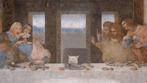 cat19.jpg