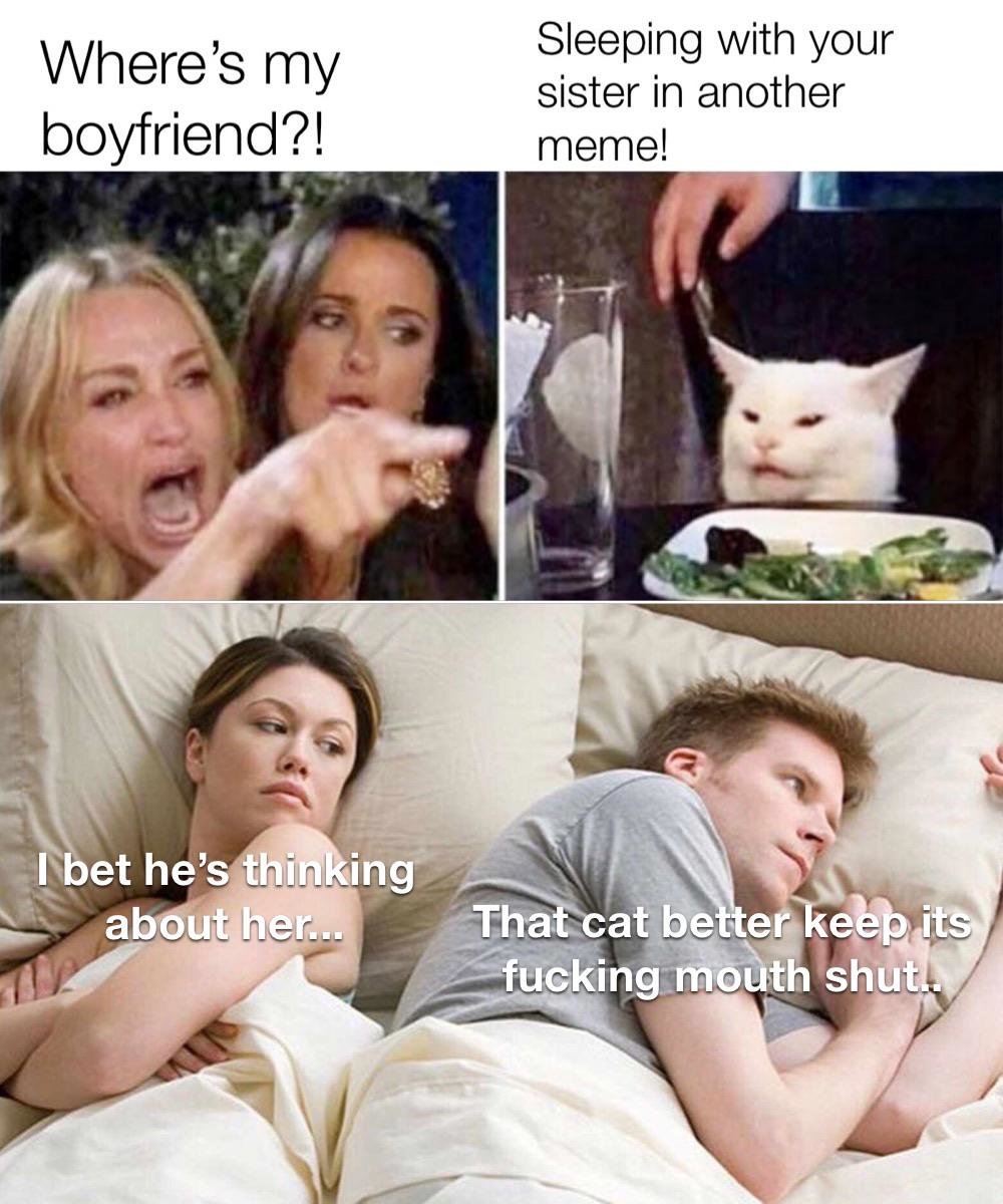 cat20.jpg