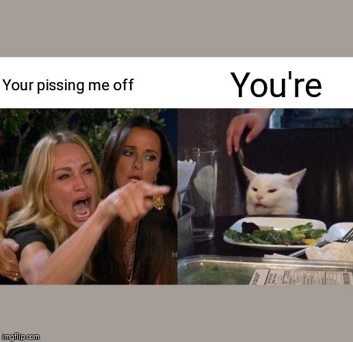 cat21.jpg