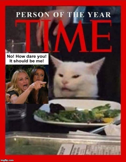 cat22.jpg