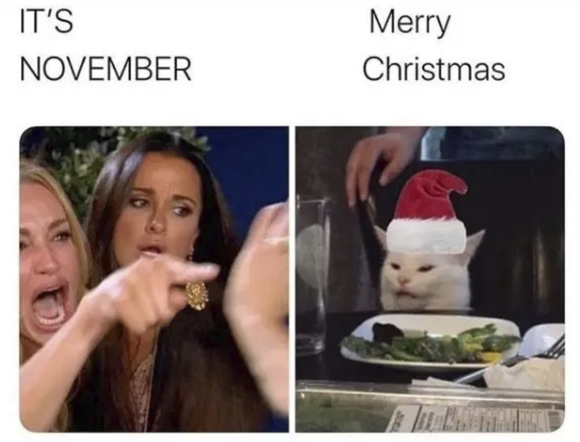 cat27.jpg
