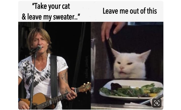 cat32.jpg