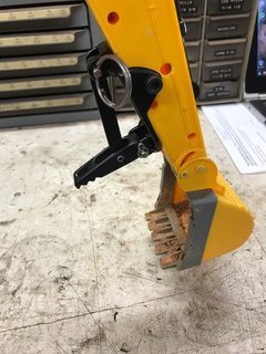 Cat9.jpg