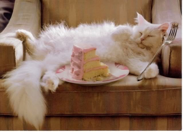 cat_birthday_cake_f1ae98e56bbac0408b6f975f43b45296d65d6cb0.jpg