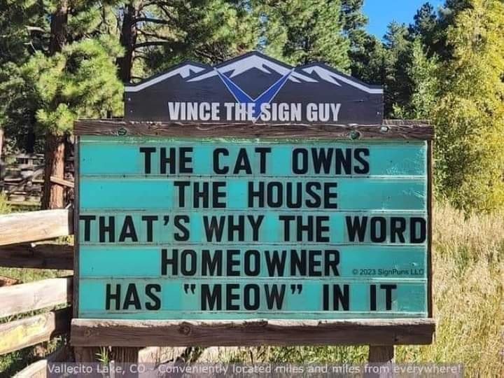 cat_house.jpg