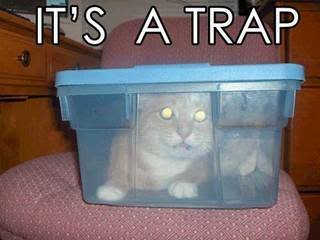 Cat_Trap_4f0ddfc2a5fb57639c53e594b63b9e4ac7b71501.jpg