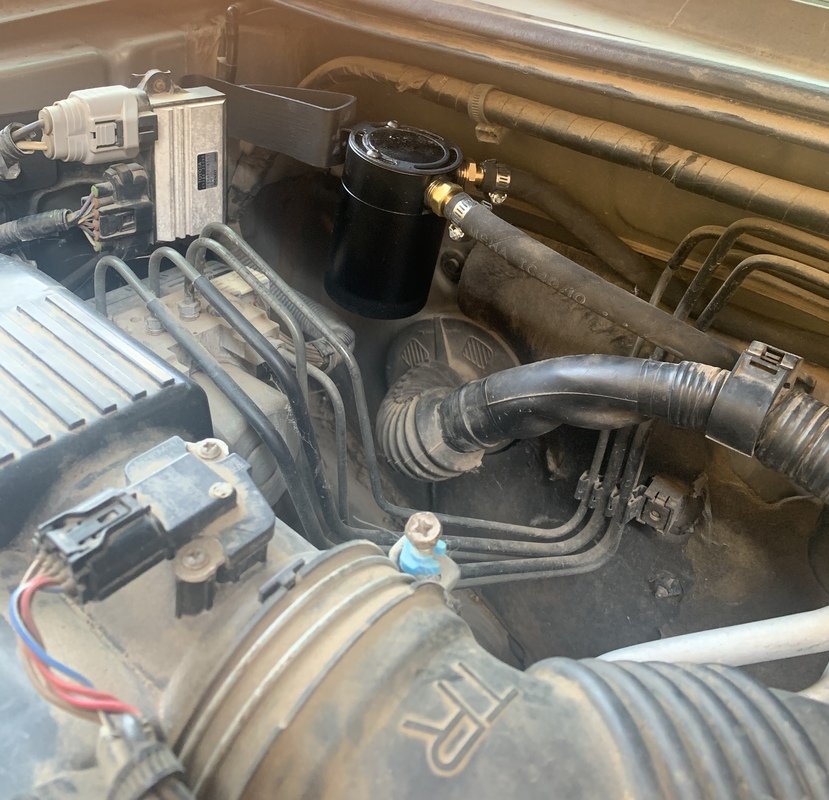 catchCAN03.jpg