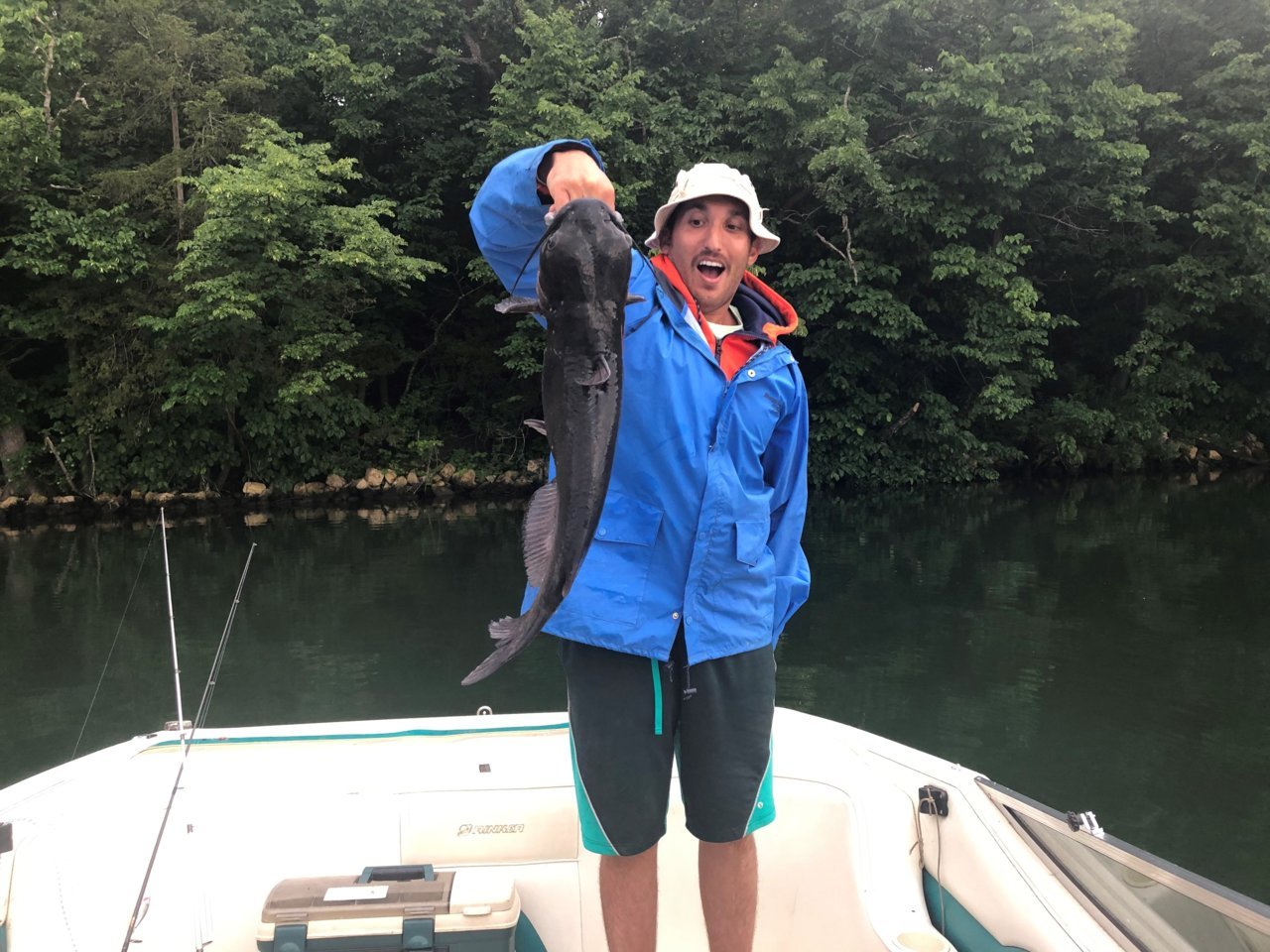 catfish1.jpg