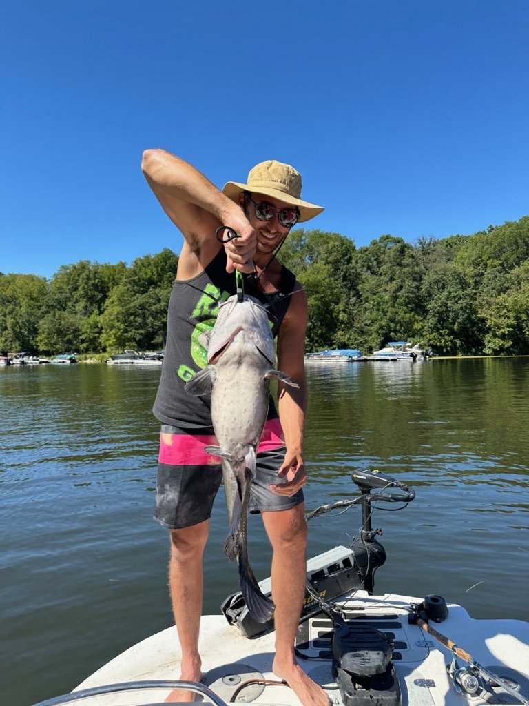 catfish15.jpg