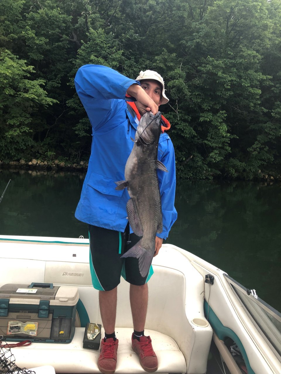 catfish2.jpg