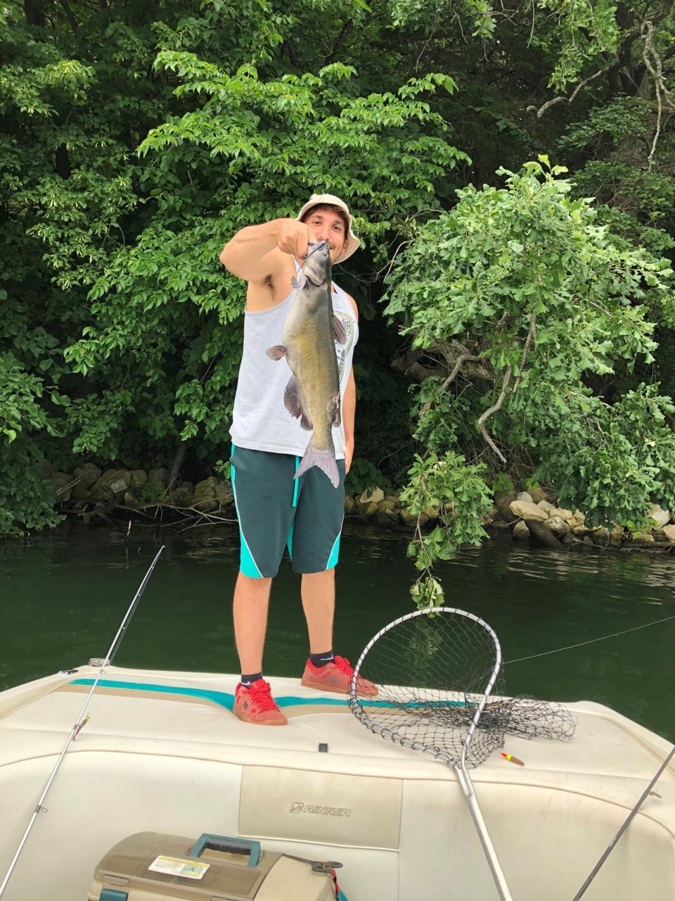 catfish4.jpg