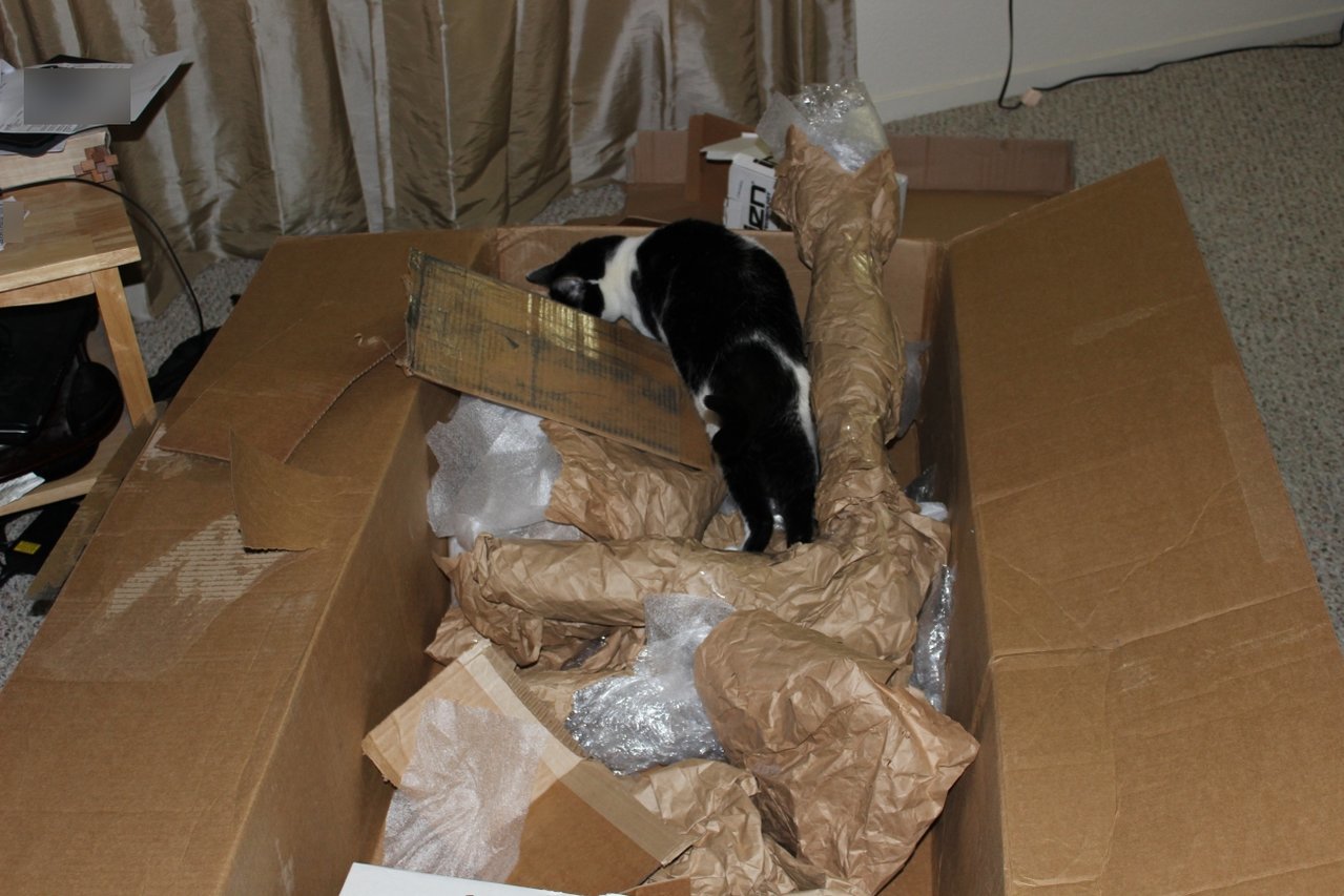 catinthebox_5707fb66979f8f7341be8e082cbd7777d877114f.jpg