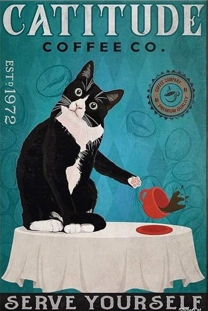 catitude-coffee-co.jpg