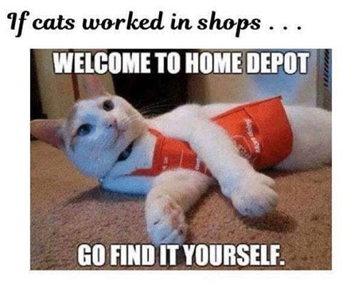 cats-home-depot_83490905787a77950e9740f7845a7ec315ca576e.jpg