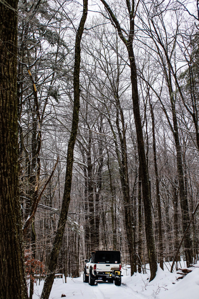 catskills Erik-7.jpg