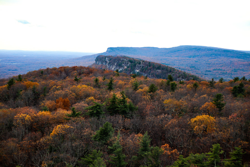 Catskills mah gawd-19.jpg