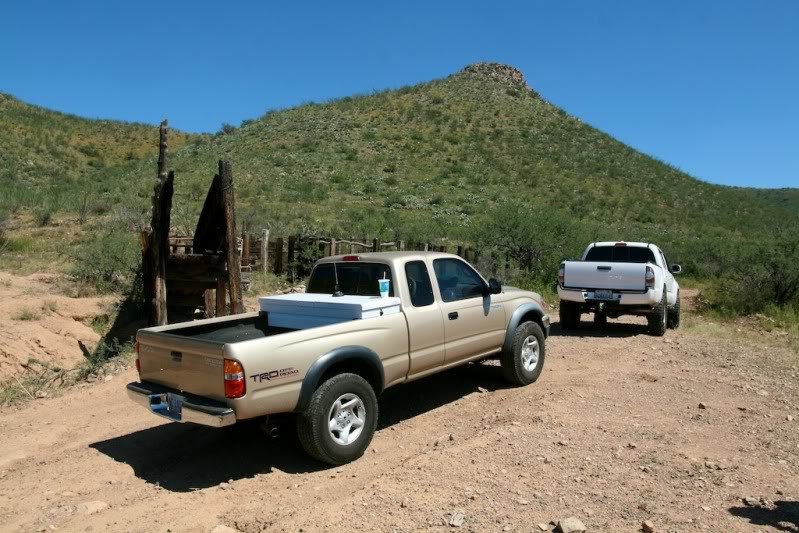 Cattlechute2_dcd01519232deeb1191ee7fce7fe91f36068fc3f.jpg