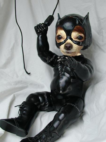catwoman.jpg