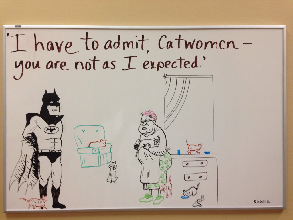 catwoman.jpg