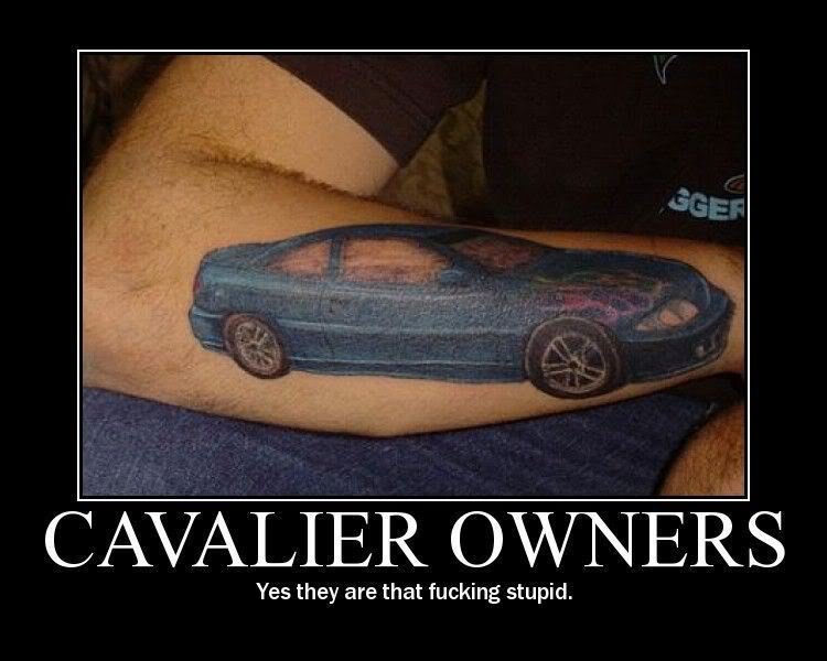 CavalierOwners_d11f818a593a2c6be0d31a52a5b4da5b824cbf1e.jpg