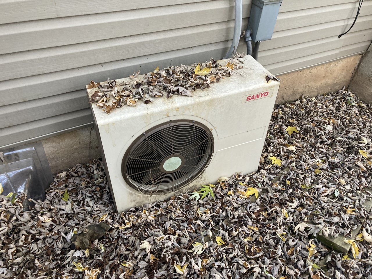 CBC3401E-A949-4AE0-9657-381256B058D7.jpg