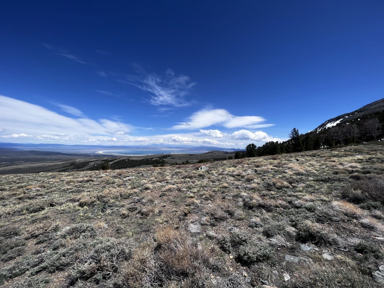 CBDB8926-AB4A-42E3-8A73-AEB3CDC6C1C8.jpg