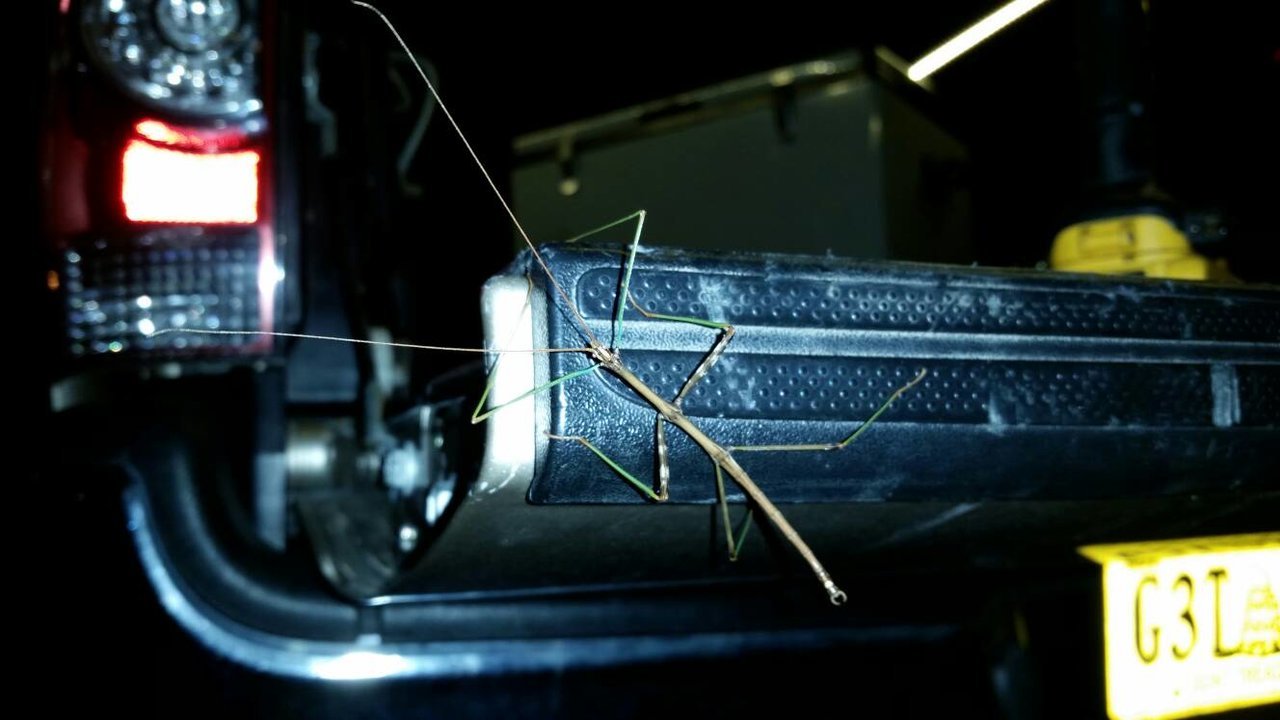 cbea4725d0b4f6d221f2aac770ac721a_e18cc43e14a8186693e4d08ae55149f898661653.jpg