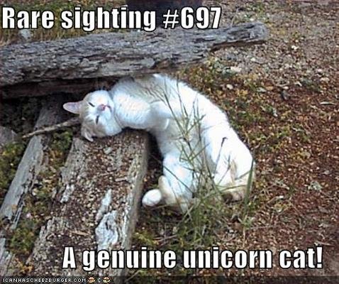 CC311DC2-6F3F-4219-A398-C62074AAC848_zps_4320aa556f4b08858ac36153065fe4b92d8f695e.jpg