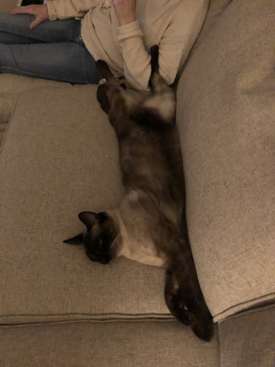CCC4AF68-90CE-49FE-9912-674AAC3BF087.jpg
