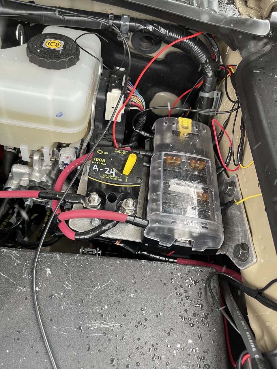 CCDB2264-EADB-4C45-B5F0-1B681593C6AE.jpg