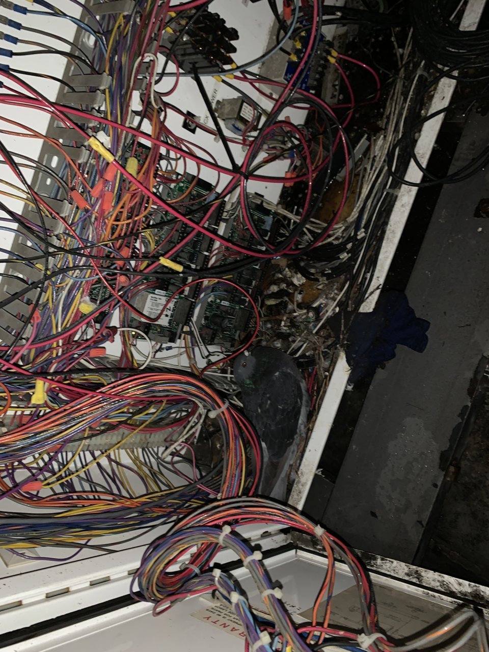 CCE71117-F2DD-4F36-B4E8-421D06092C7D.jpg