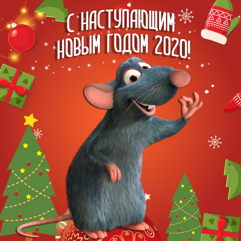 CD3EF00C-01F8-4E0B-808A-0F41A1A2B5F7.jpg
