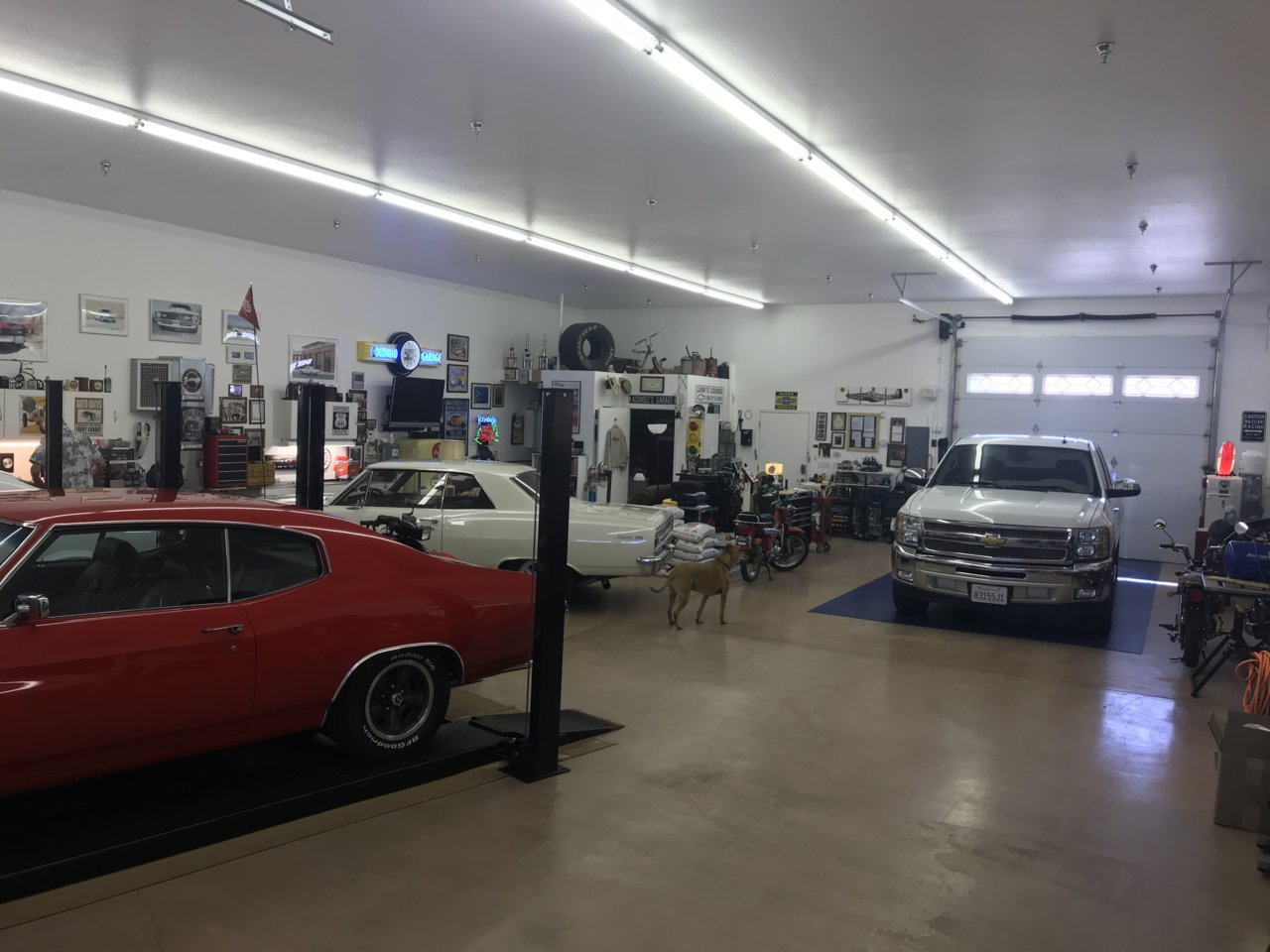 CD762F07-E397-409B-AB58-74C83D99FE49.jpg