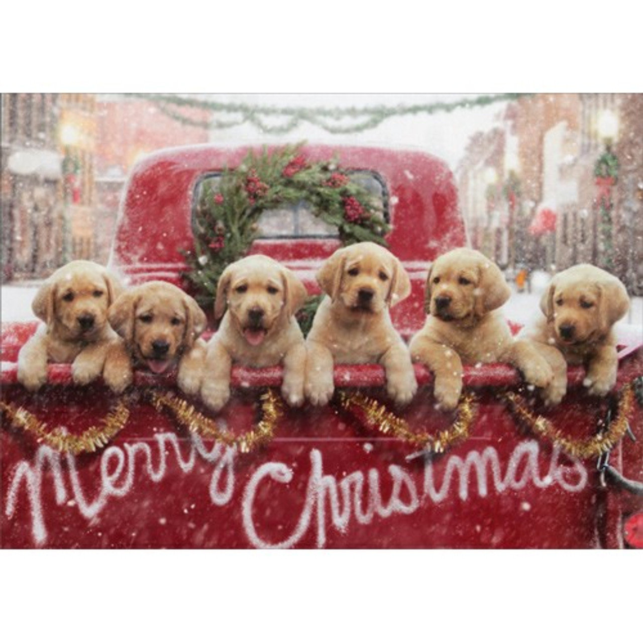 cd9146-lab-puppies-in-red-truck-christmas-card__12719.1656196424.jpg