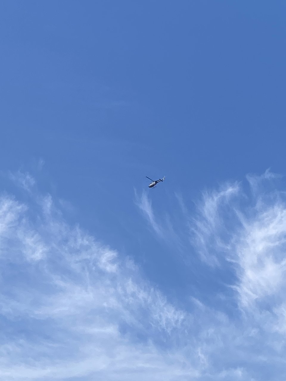 CDAAA578-D48E-4F6B-9716-8056B58A8E3B.jpg