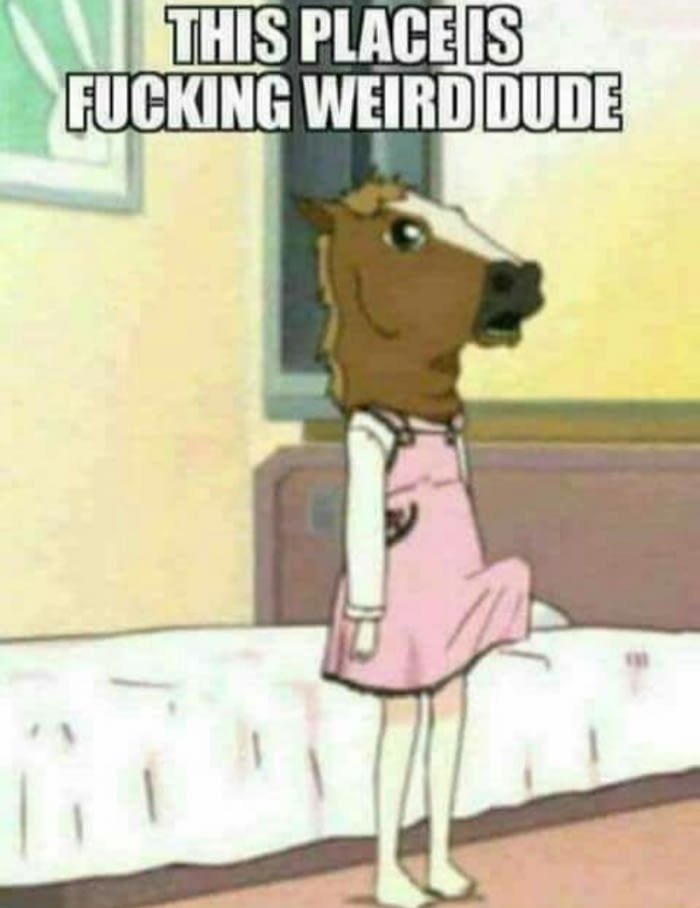 cDweH6K.jpg