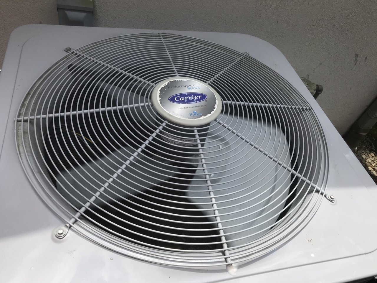 CE860A55-2E05-41CC-9DB2-9AA9181CAE72.jpg