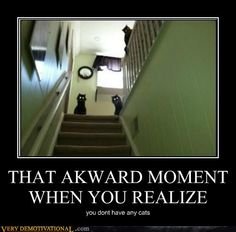 ceac76c4862a058dea113bf03654a377--black-cats-so-funny.jpg