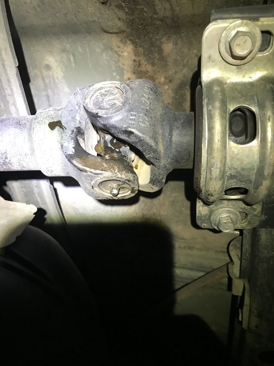 CEFC5E00-7653-4DB1-9E9A-42367E408E57.jpg