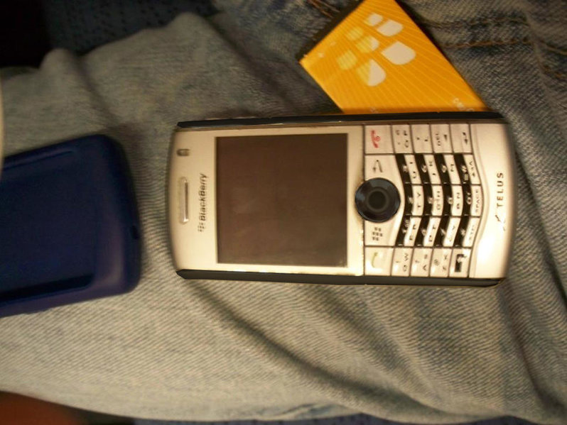 cell1.jpg