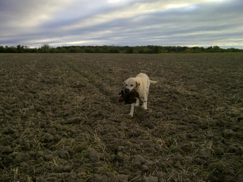 CentralHuron-20111002-00133_f7da80687d64582afe38d4a3065f59d891426287.jpg