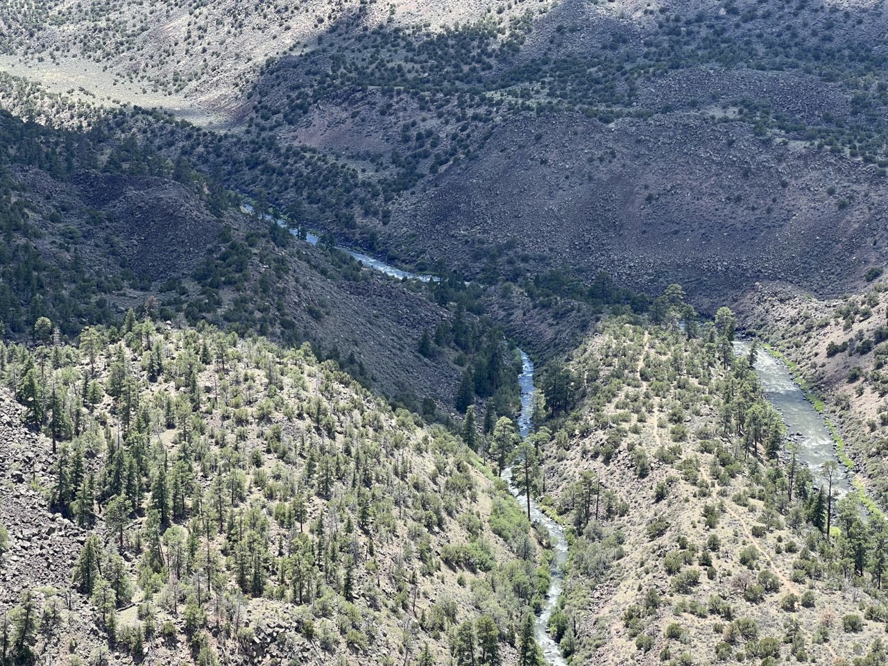 CF055163-ACF1-4BD9-B154-6608CA7B2785.jpg