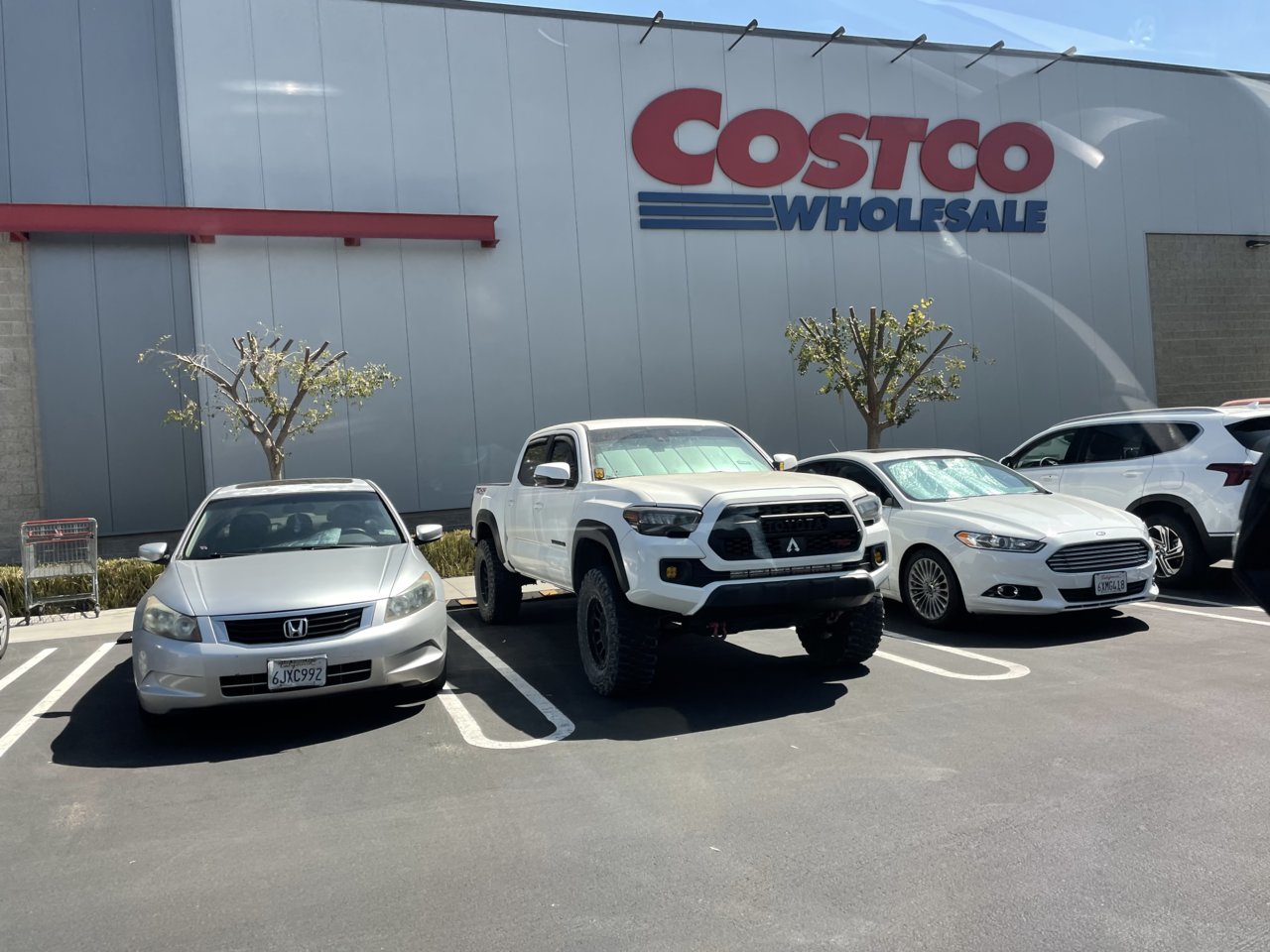CFA7C1F7-5861-4123-826A-103A0DDA4A0D.jpg