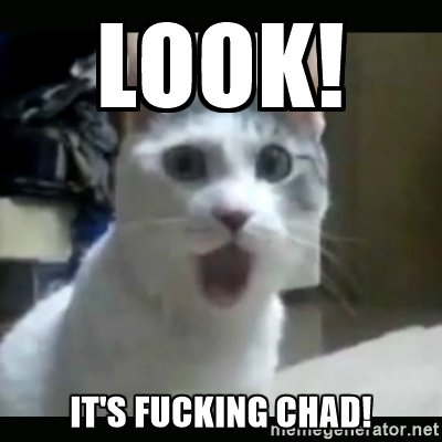 chad5.jpg