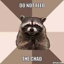 chad7.jpg