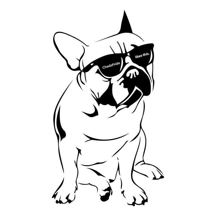 chadspride frenchie.jpg
