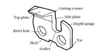 chainsaw chain diagram.jpg