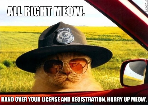 chandrasekhar-heffernan-live-discussion-05-lolcat-sheriff-state-trooper1.jpg