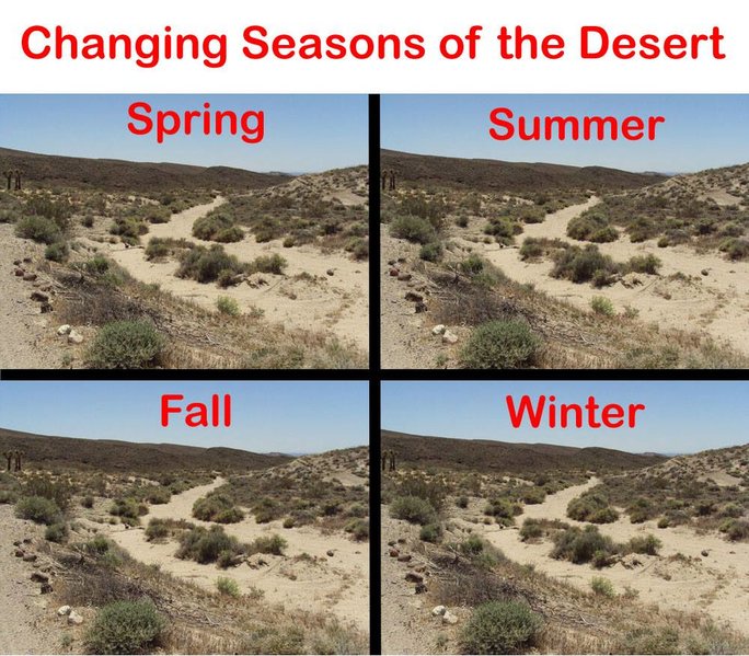 changingseasons.jpg
