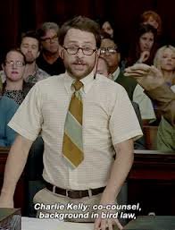 charlie kelly bird law.jpg